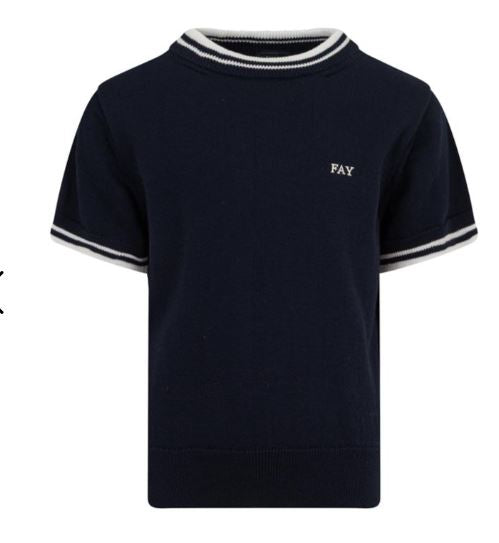  FY9P21 Z3668 618 BLUE FAY 
