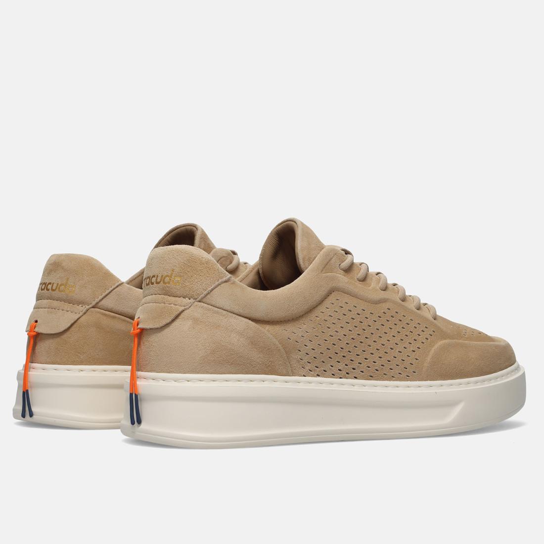 Sneakers phoenix BU3612 V2754 TABACCO BARRACUDA 