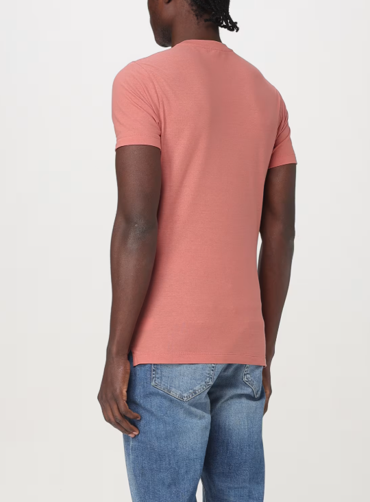 t-shirt slim fit ice cotton 815194 ZG380 Z5516 ZANONE 