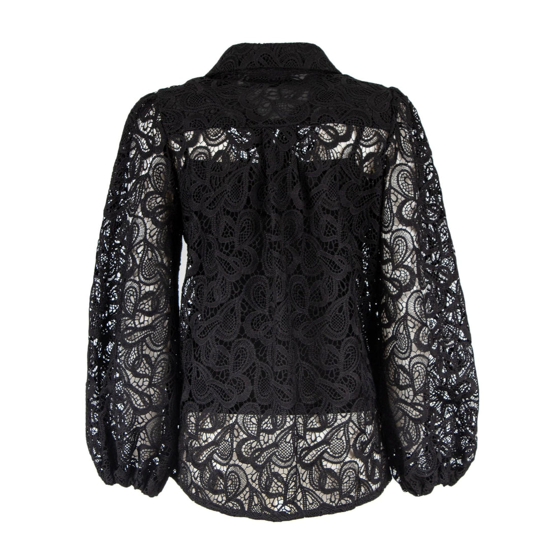 camicia in pizzo DUNBAR 252S6 NERO TPN 