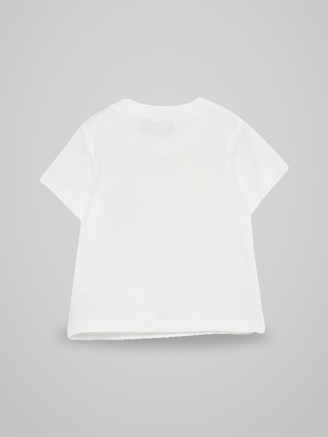 t-shirt teddy bear
