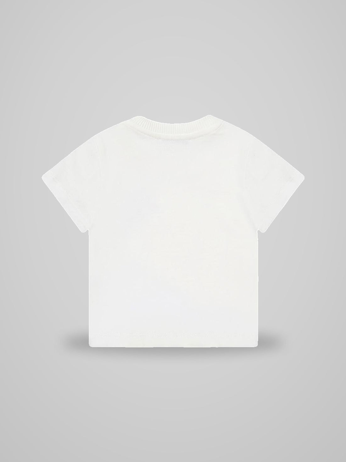 t-shirt teddy bear